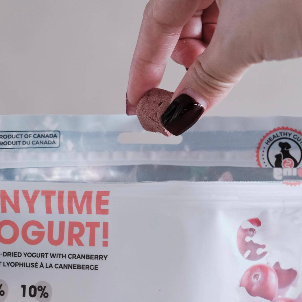 ANYTIME YOGURT! Freeze-dried Greek Yogurt with Cranberry