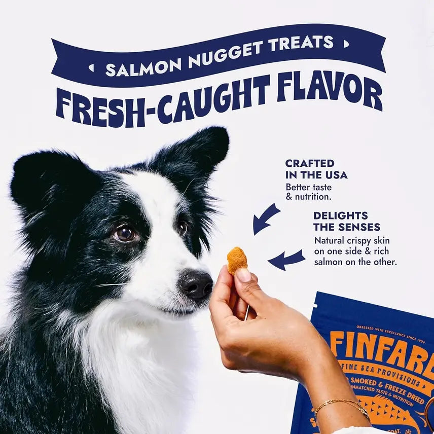 Freeze-Dried Salmon Nuggets for Dogs