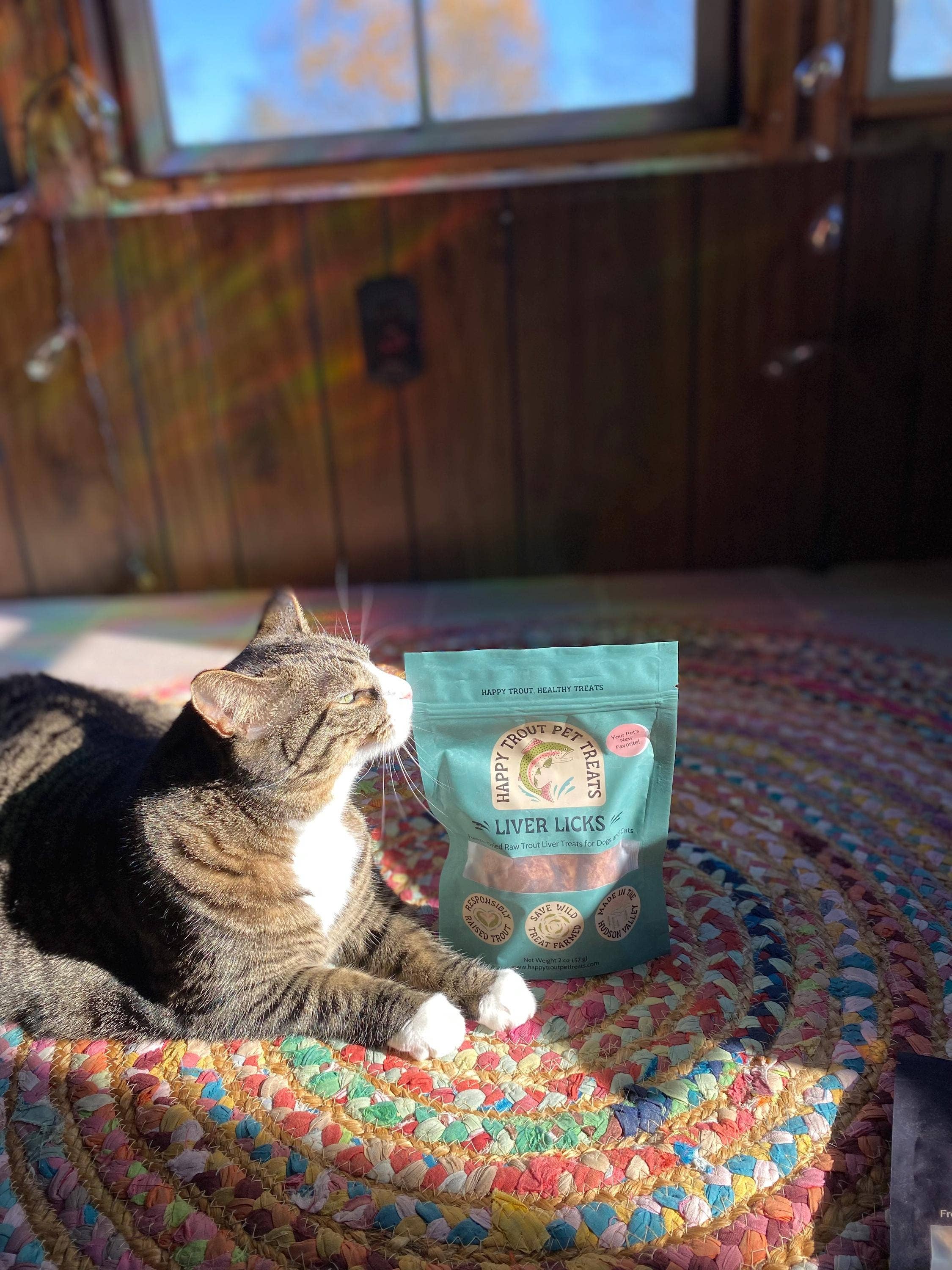 Freeze Dried Liver Licks