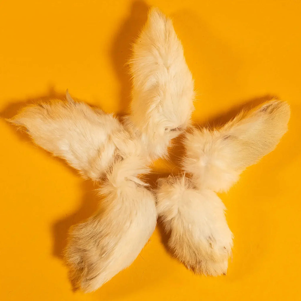 Freeze-Dried Rabbit Front Feet/Paw