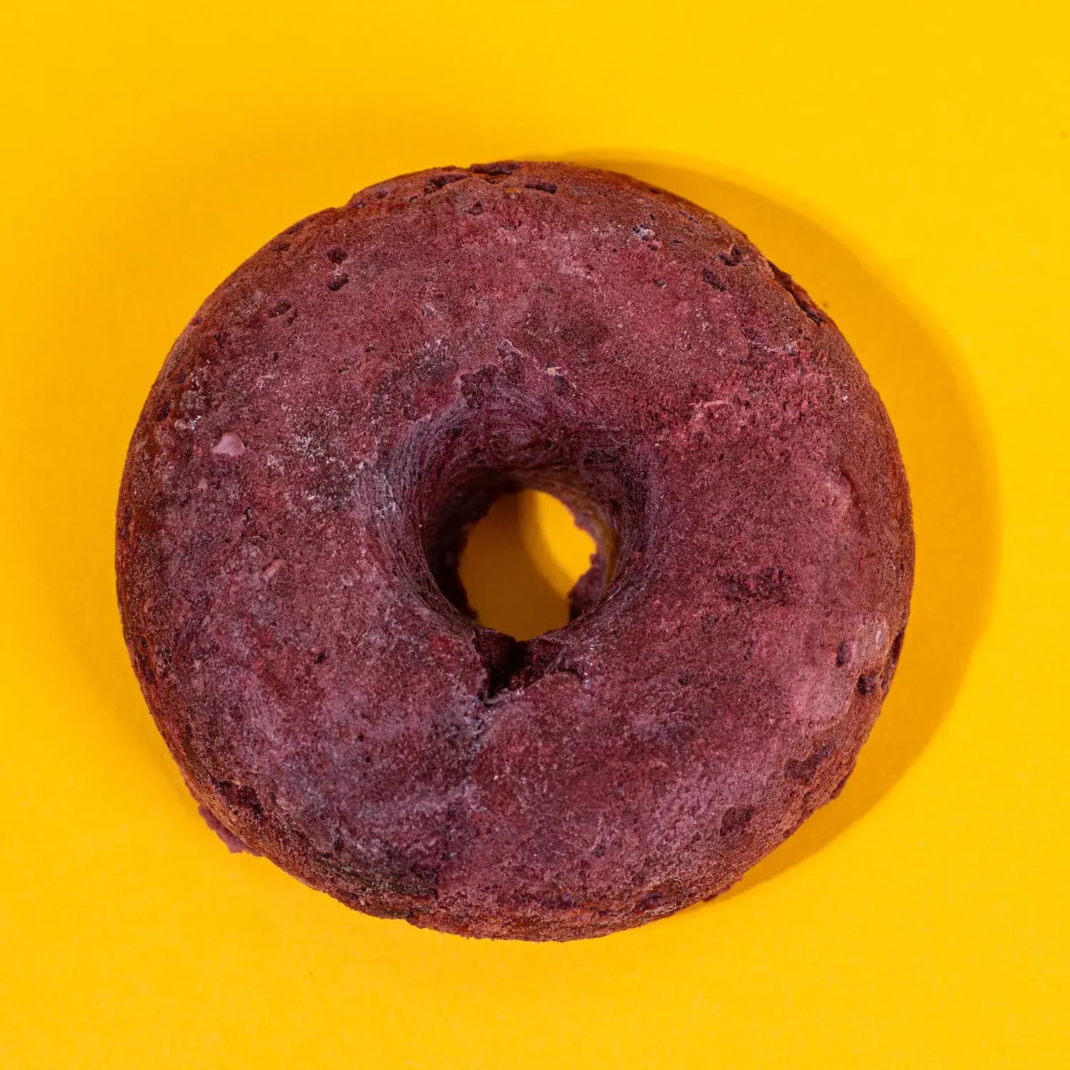 Freeze-Dried Turkey & Cranberry Donut
