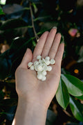 Freeze-Dried Egg White and Goat Milk