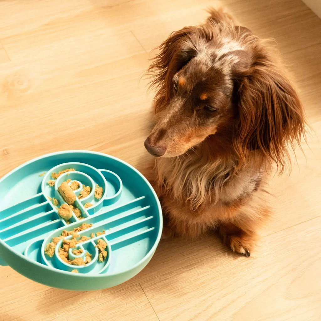 Zoomies Slow Feeder Bowl