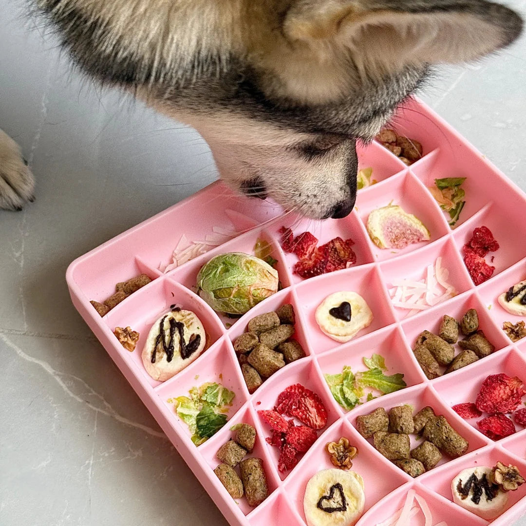 Wavies Slow Feeder Bowl