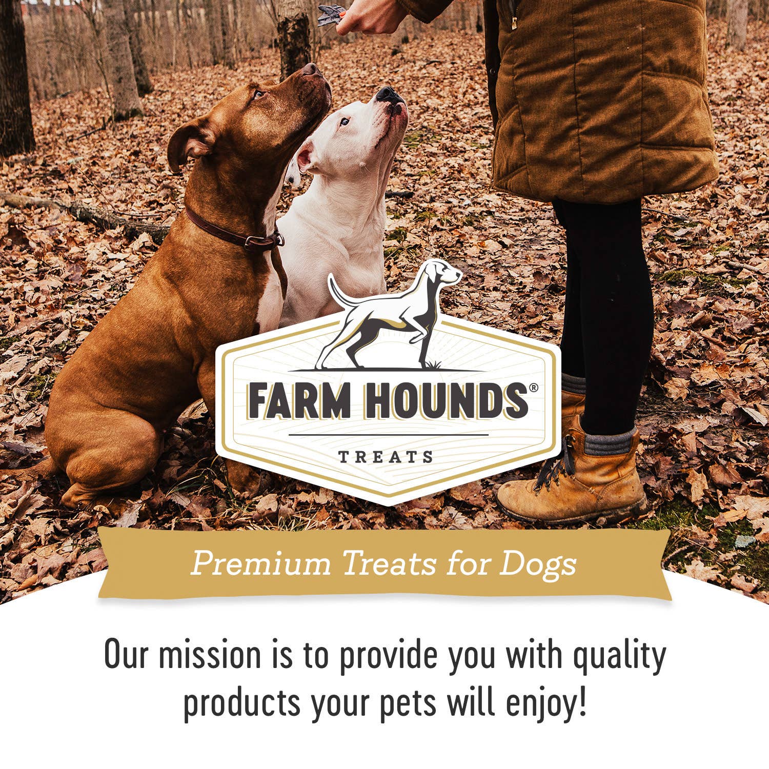 Freeze-Dried Turkey Gizzard Trainer