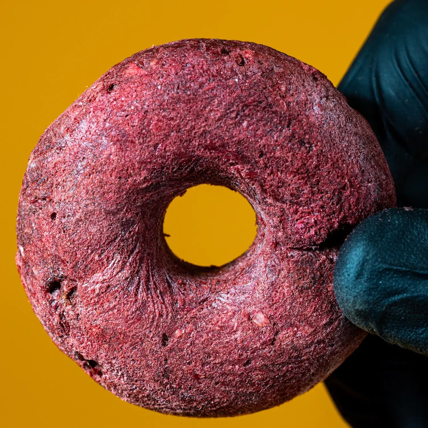 Freeze-Dried Turkey & Cranberry Donut