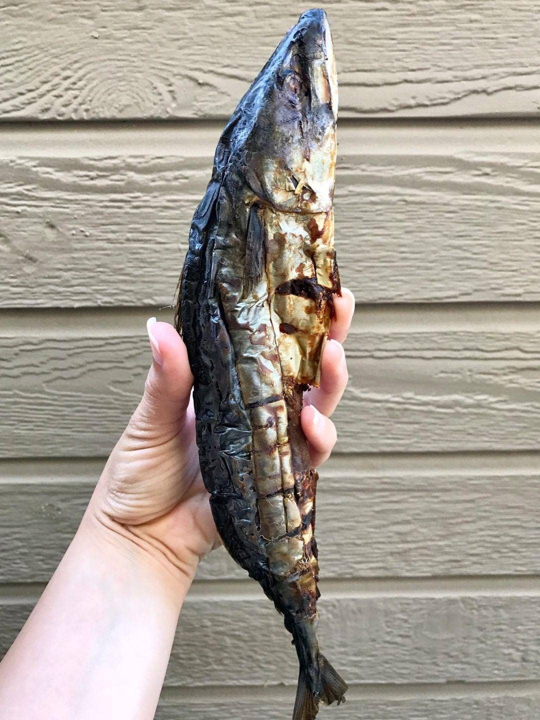 Norwegian Mackerel (Wild Caught)