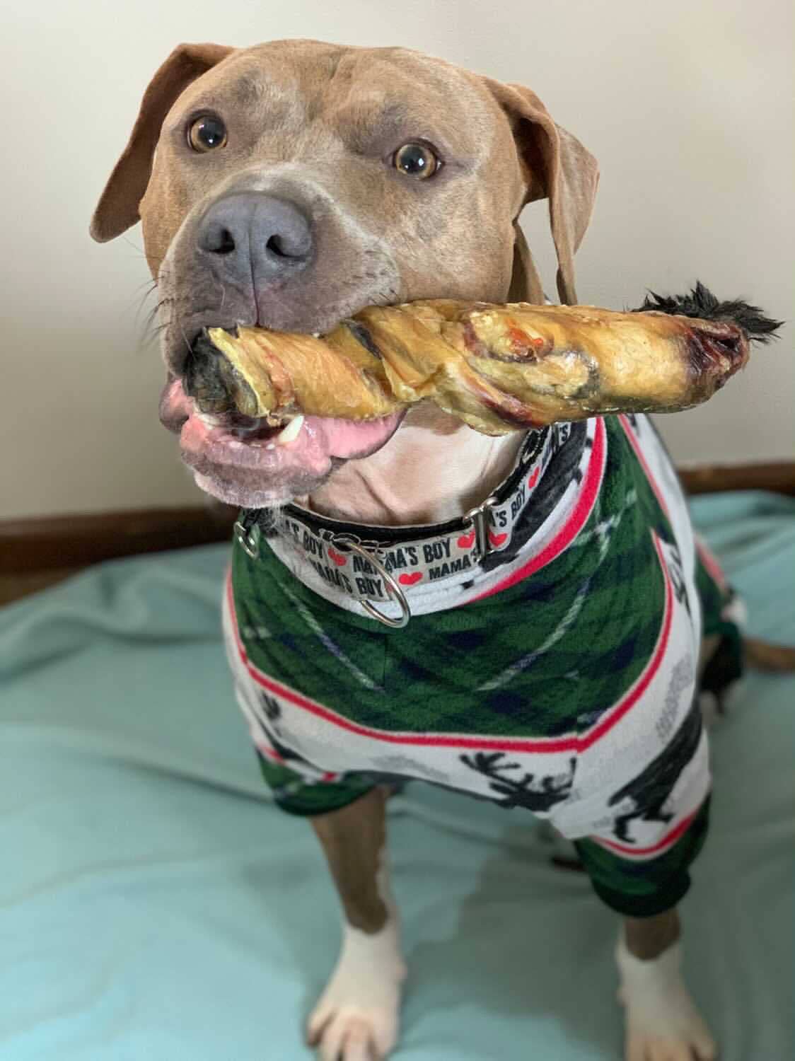 Rabbit Rawhides Baguettes