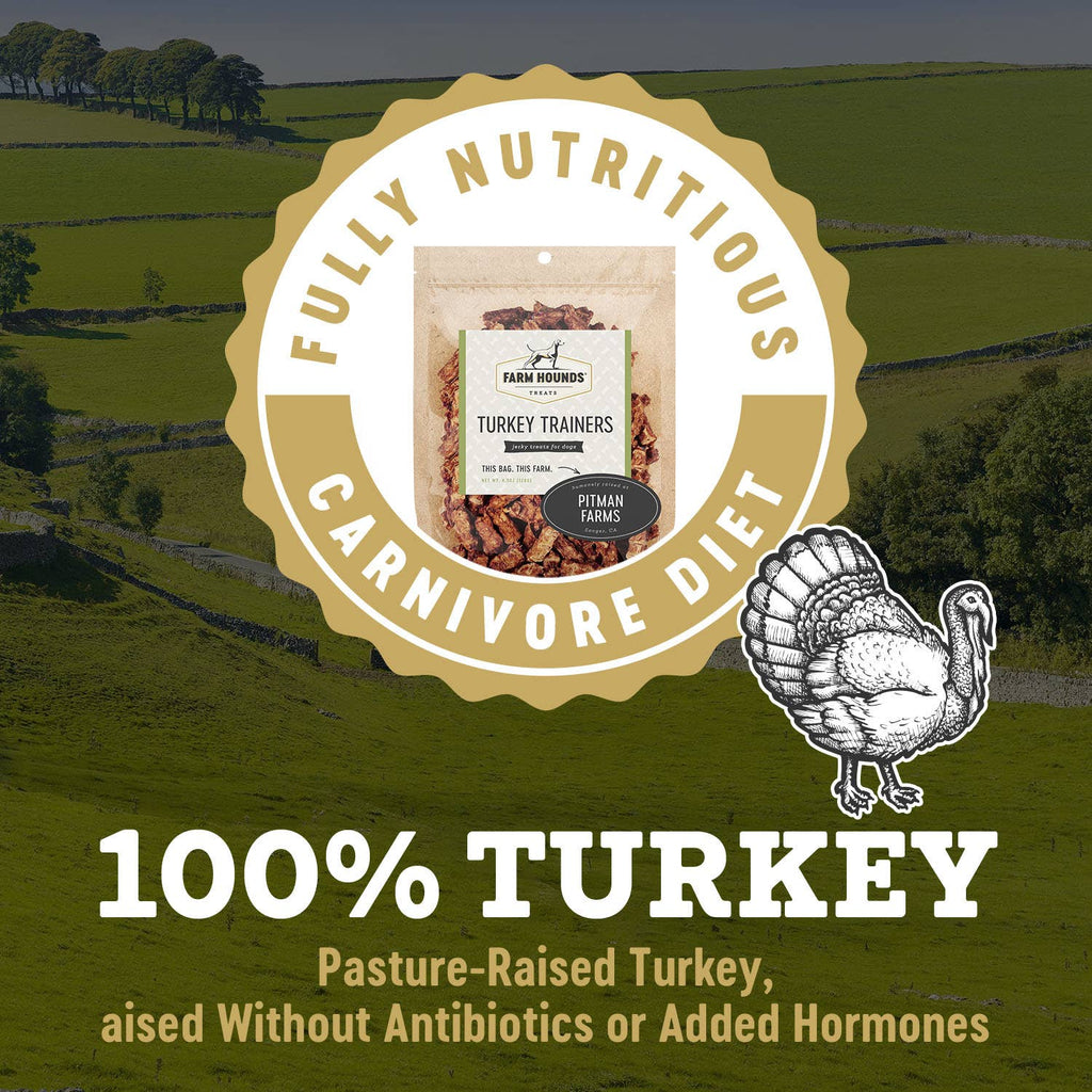 Freeze-Dried Turkey Gizzard Trainer