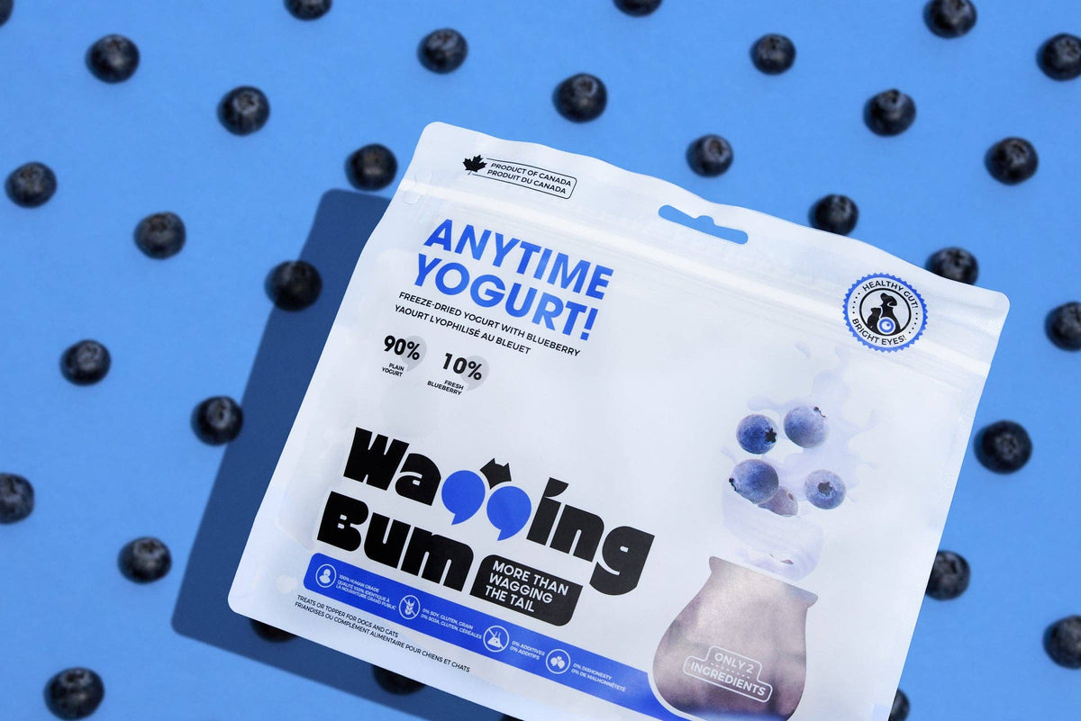 ANYTIME YOGURT! Freeze-dried Greek Yogurt with Blueberry