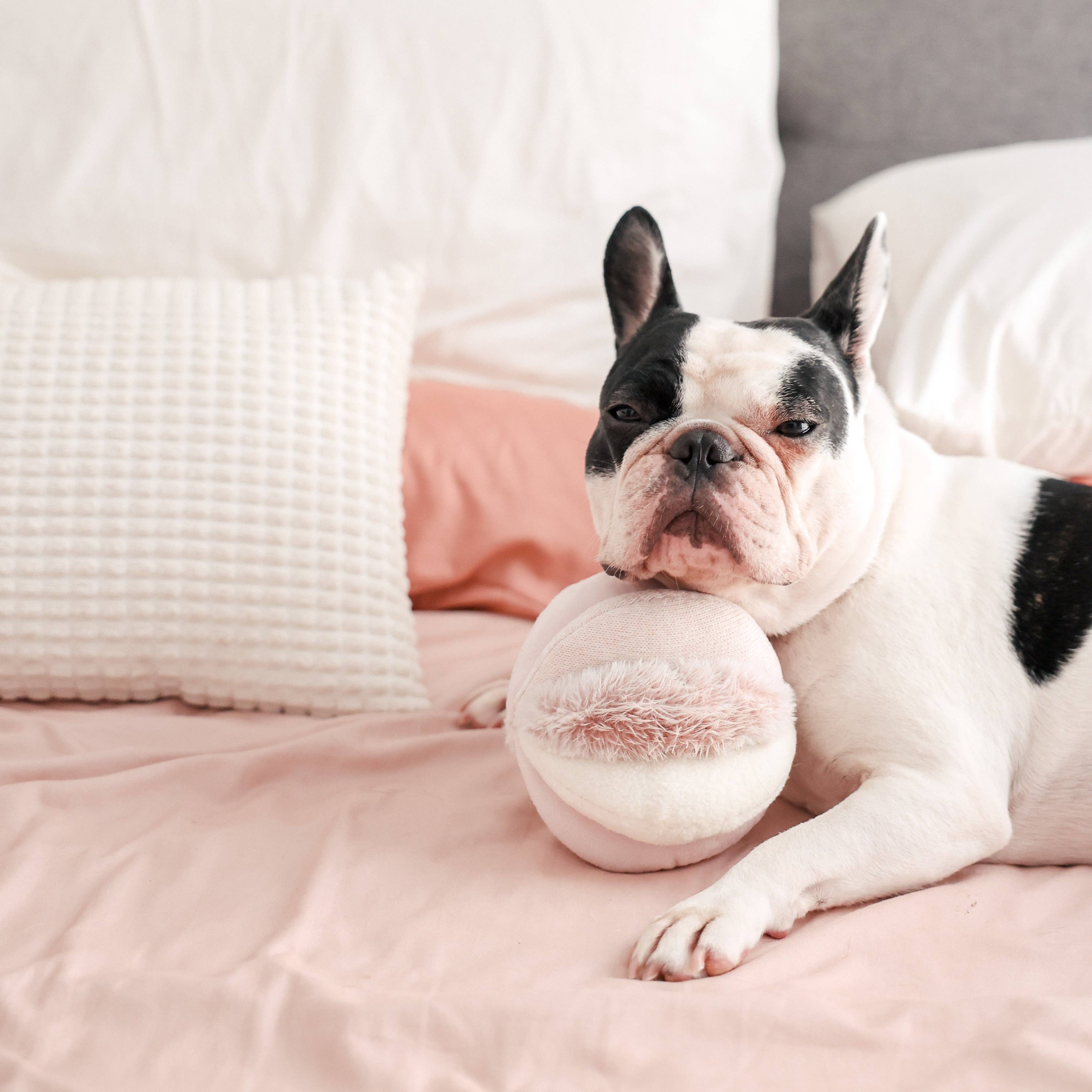Toto Snuffle Ball