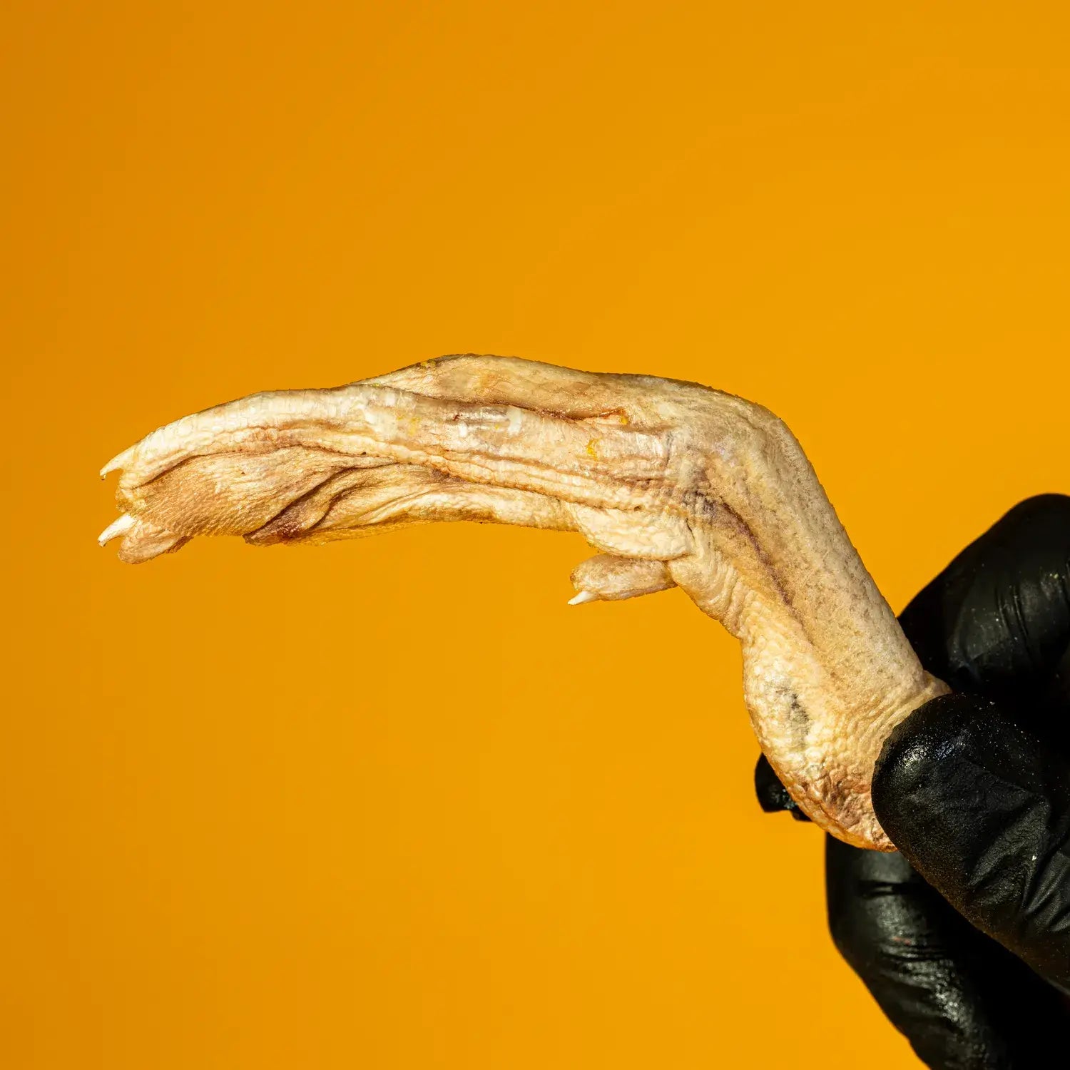 Duck Feet Chews