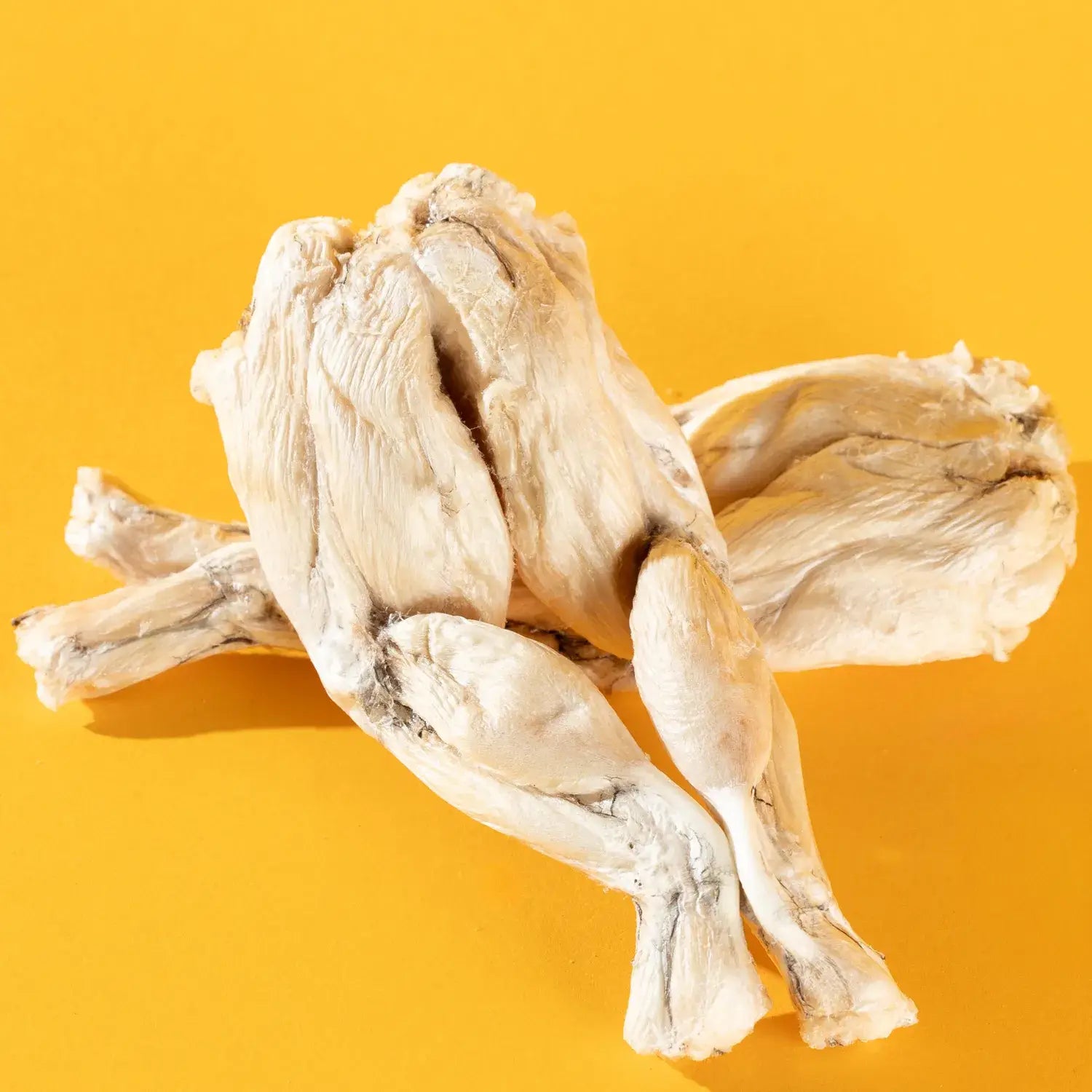 Freeze-Dried Frog Leg