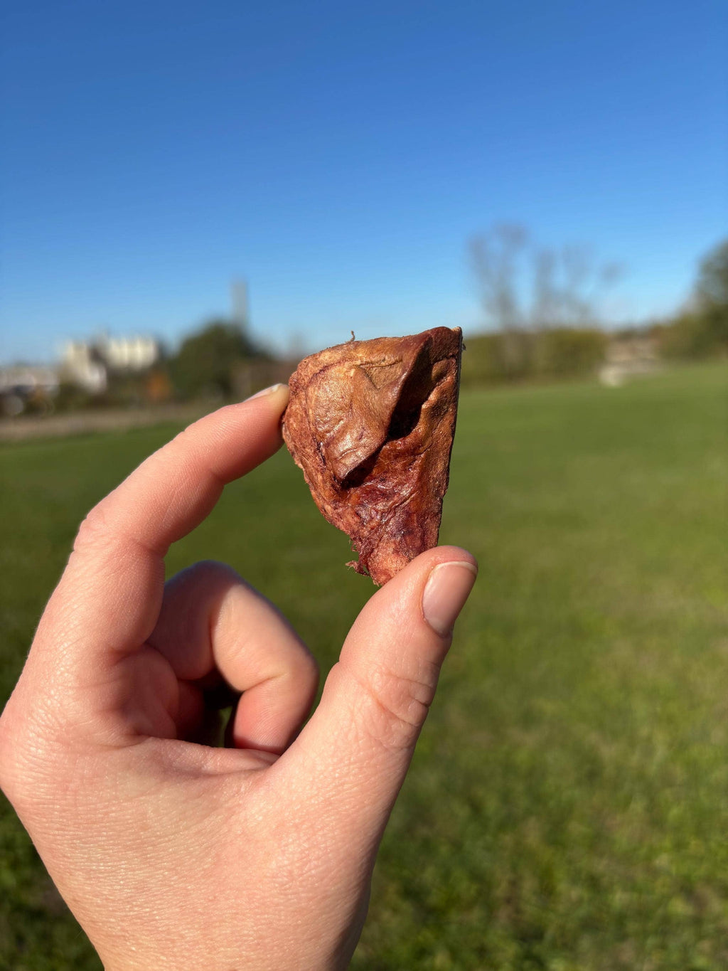 Freeze Dried Liver Licks