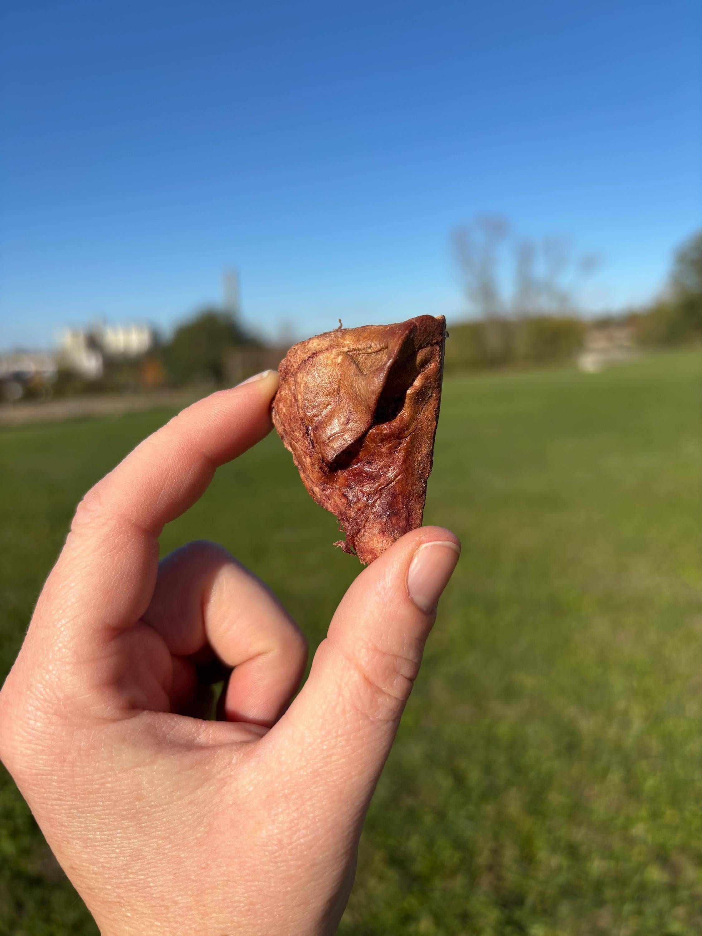 Freeze Dried Liver Licks