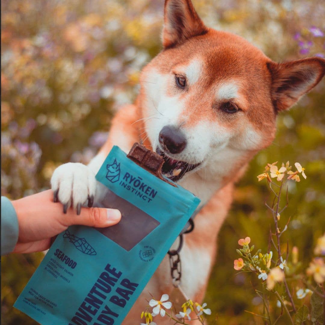 Seafood Treat & Snack Bar for Active Dogs -Energy & Recovery