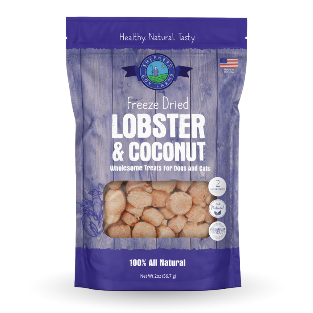 Freeze-Dried Lobster & Coconut