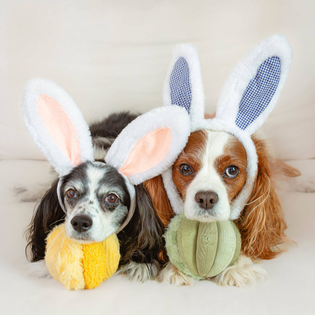 Toto Silent Snuffle Ball
