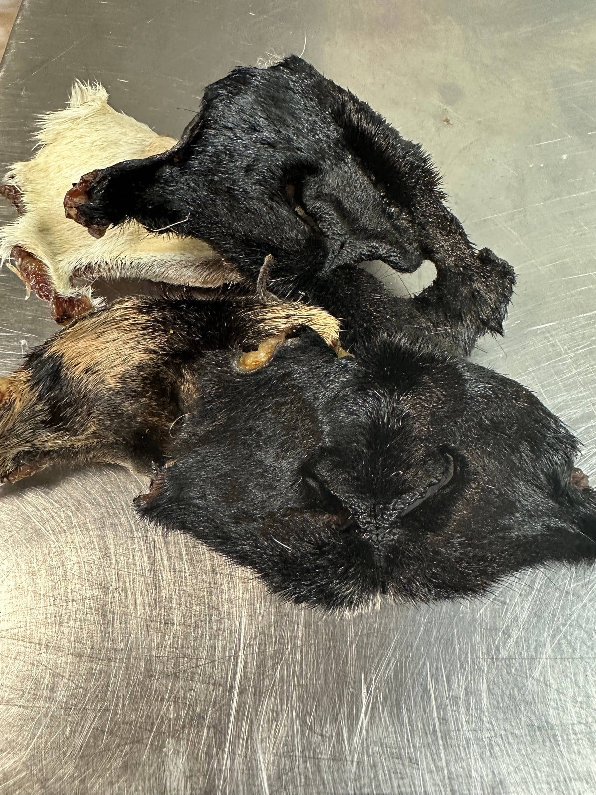 Goat/lamb Snouts