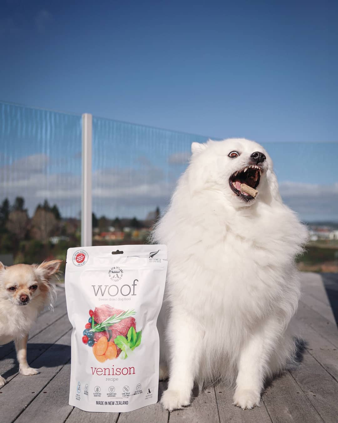 Wild Venison Freeze Dried Dog Food