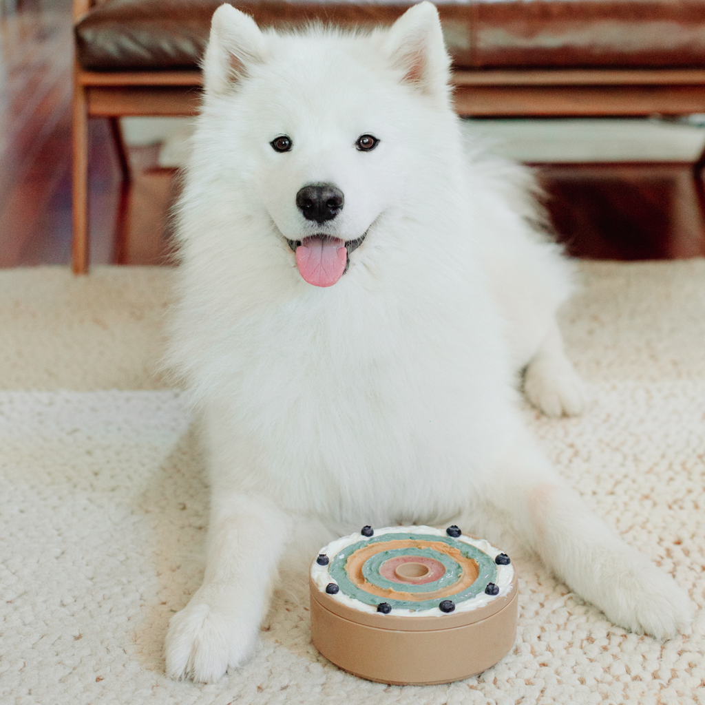 Bento Lick Mat & Slow Feeder
