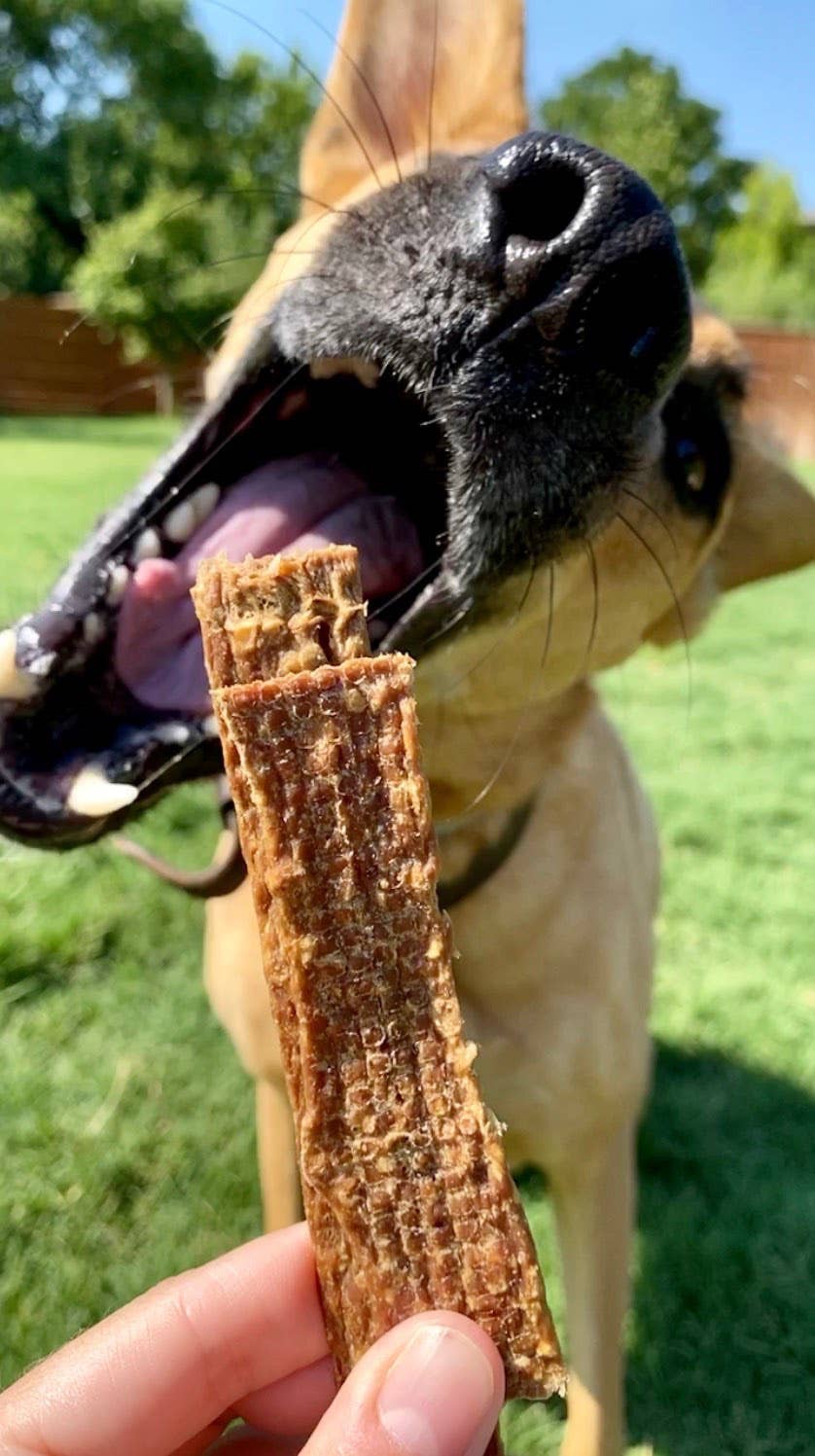 Freeze-Dried Duck Strips
