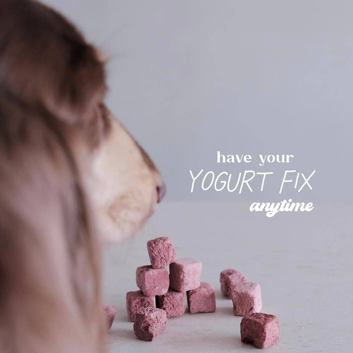 ANYTIME YOGURT! Freeze-dried Greek Yogurt with Cranberry