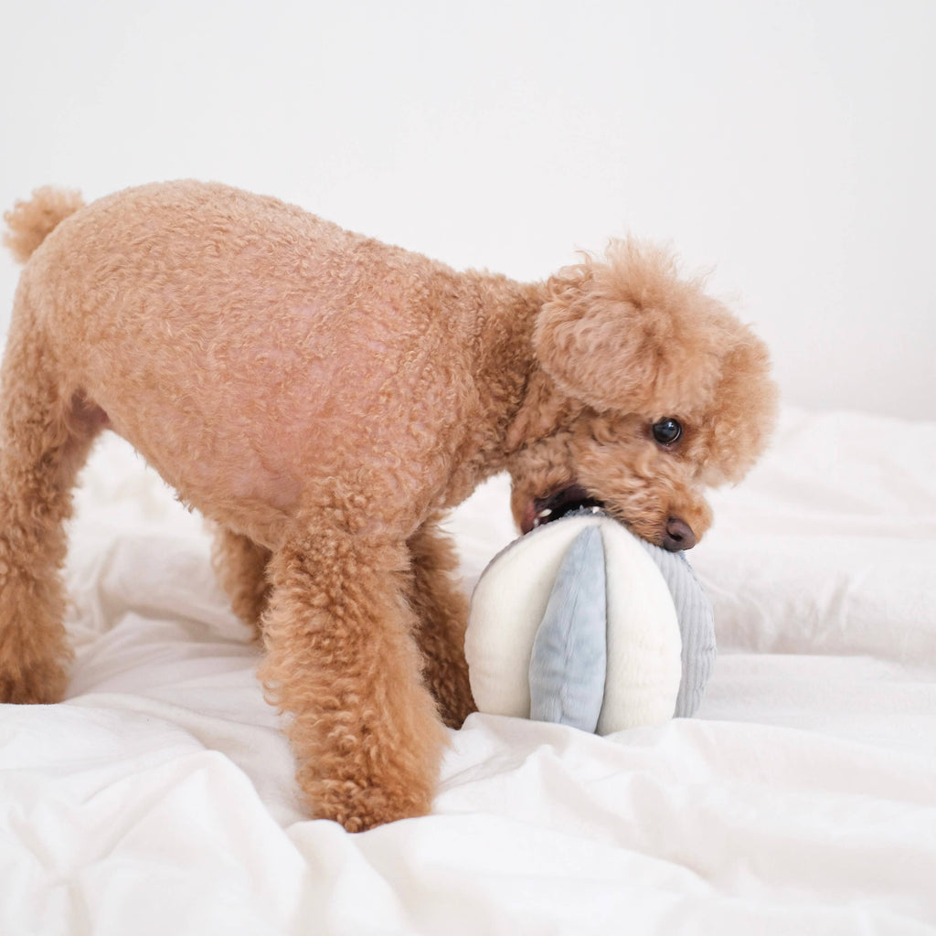 Toto Snuffle Ball