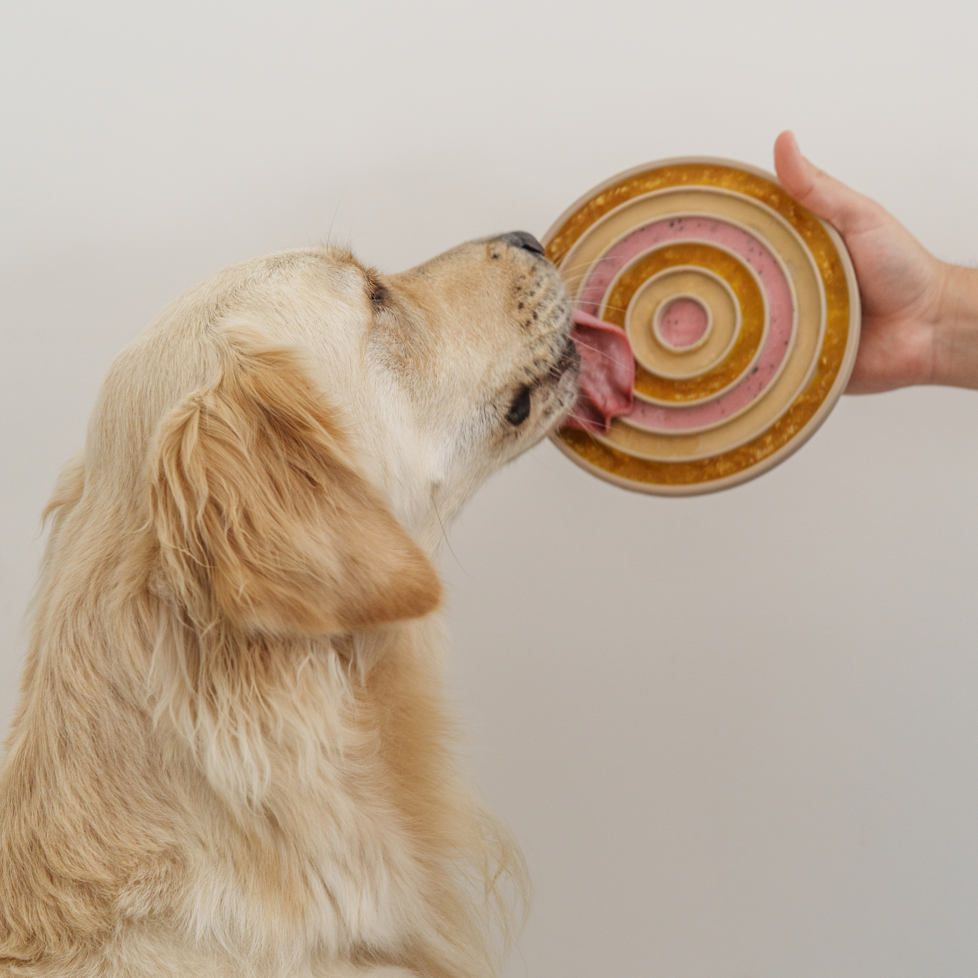 Bento Lick Mat & Slow Feeder