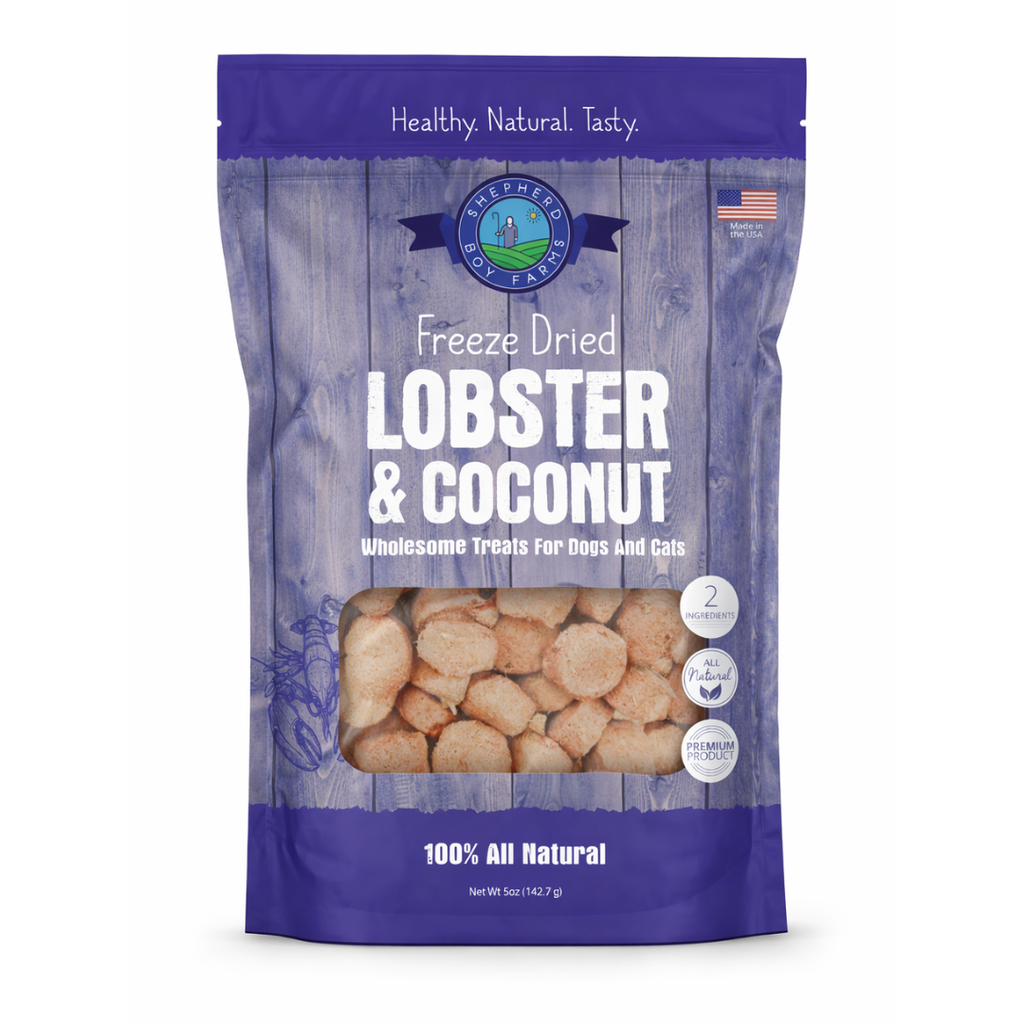 Freeze-Dried Lobster & Coconut