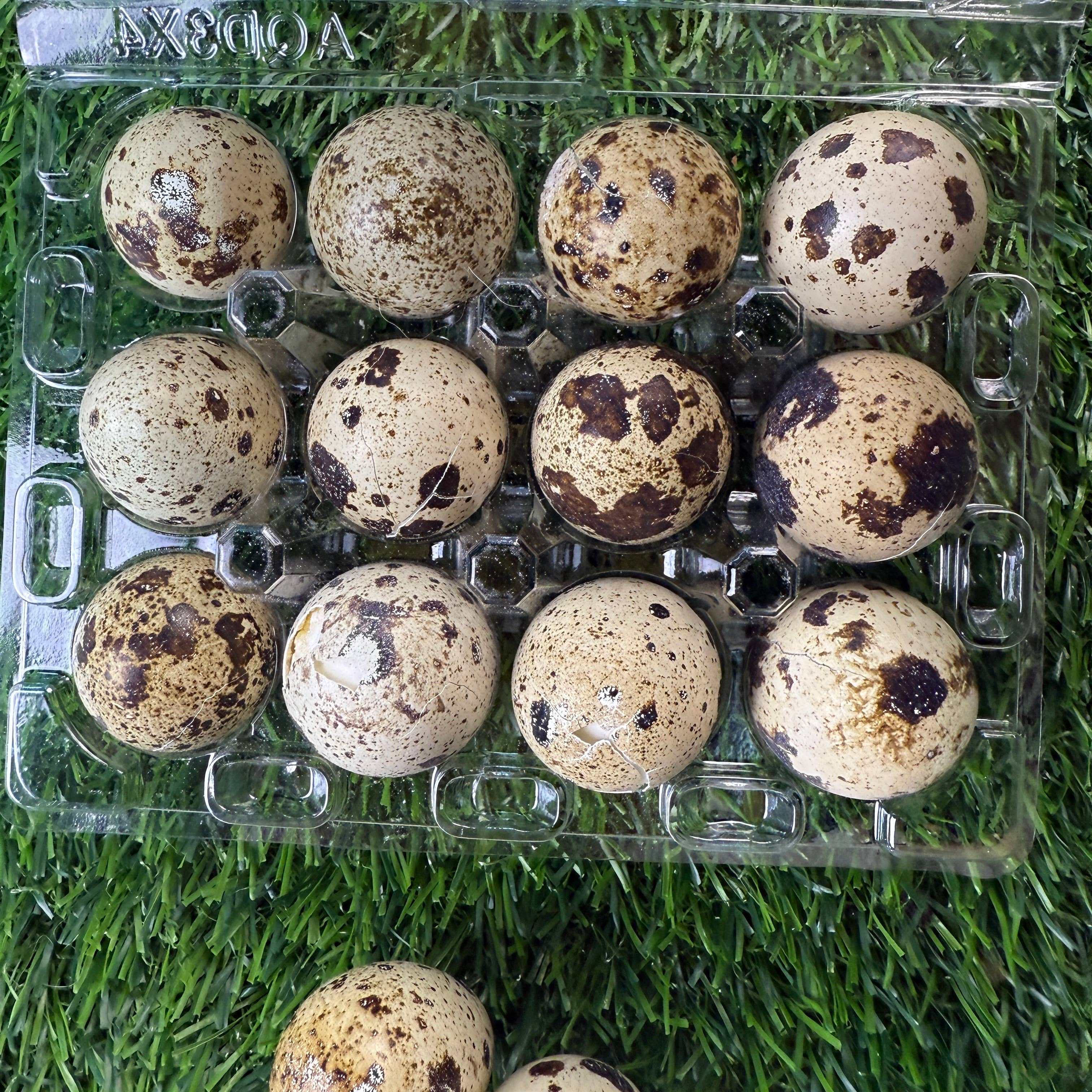 Freeze-Dried Quail Eggs
